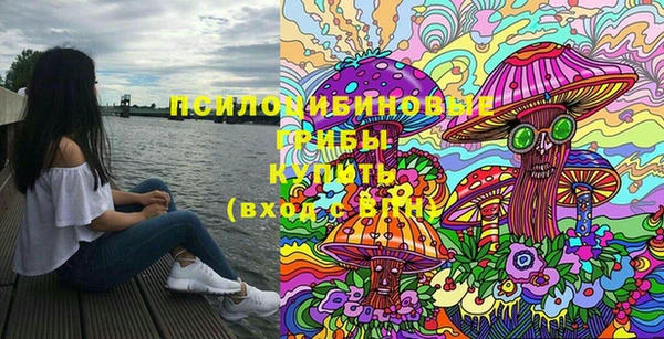 эйфоретик Вязники