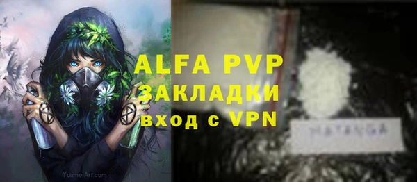 мдпв Вяземский