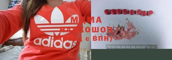 мдпв Вяземский