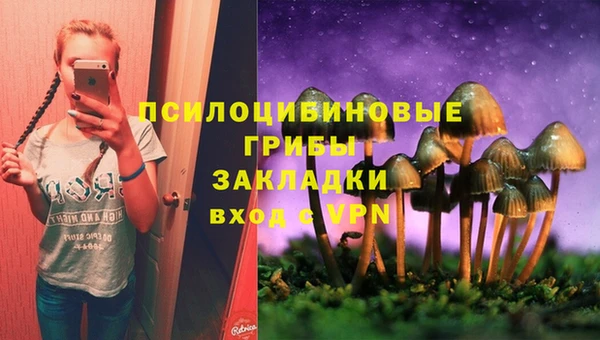 марки nbome Горняк