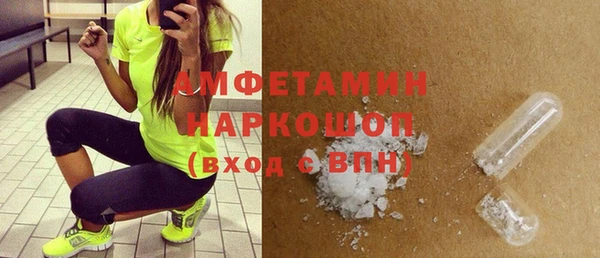 мдпв Вяземский