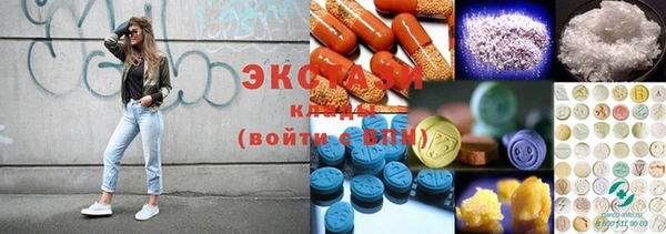 мдпв Вяземский