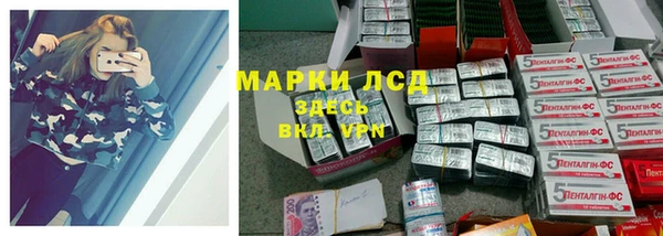 мдпв Вяземский